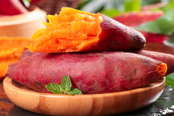 山东泰港数科集团——常见的红薯为何被大家视若珍宝